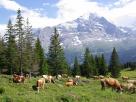 Eiger