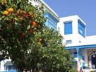 Sidi Bou SaÃ¯d