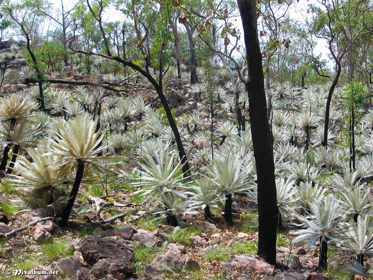 Northern Territory