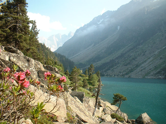 Pyrenees