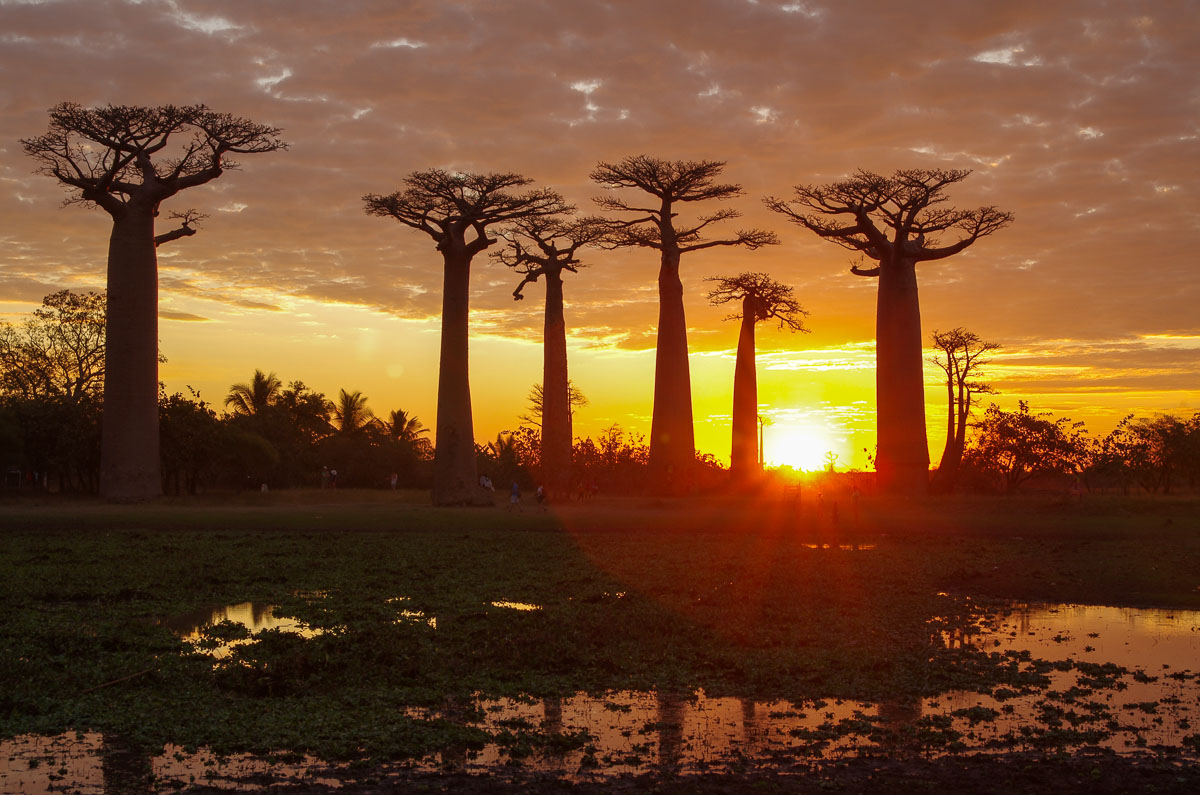 Morondava-Tsingis