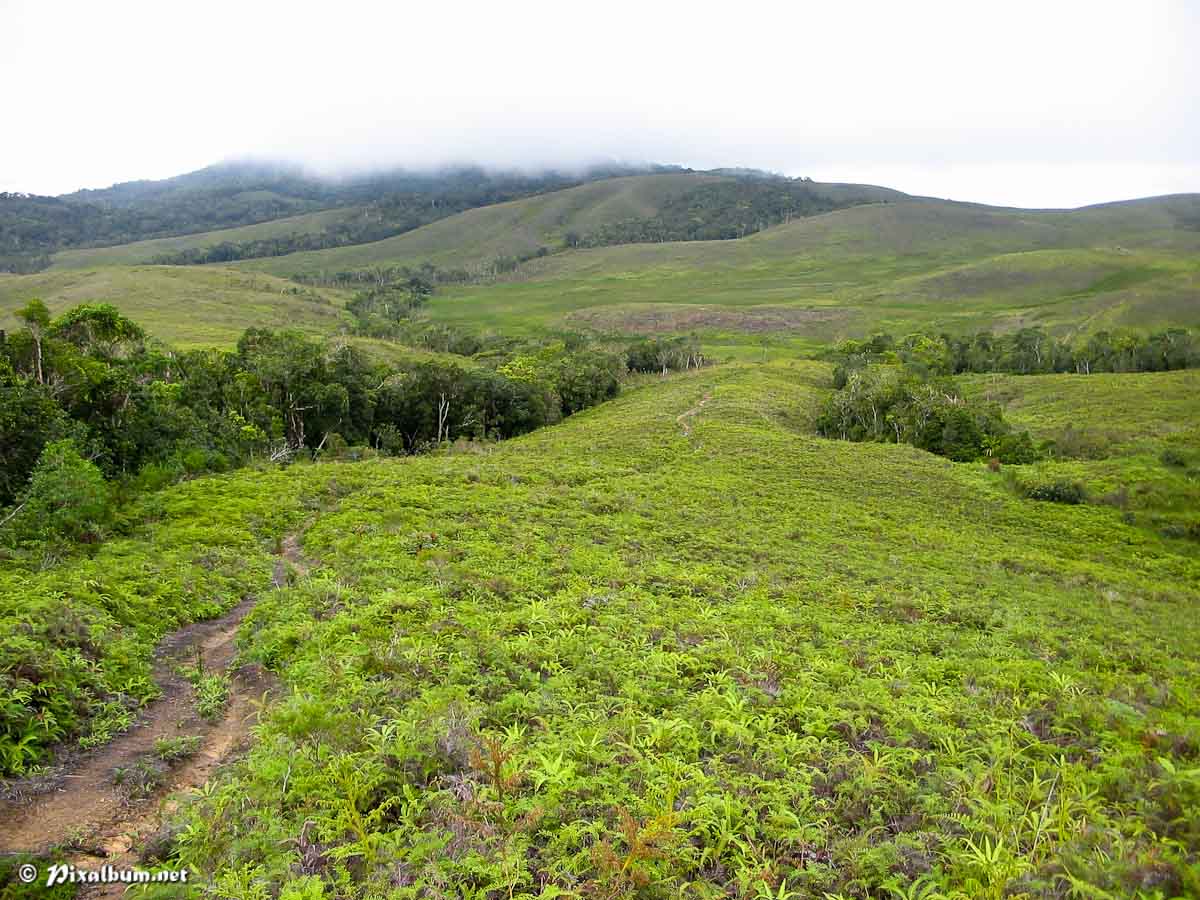 Plateau de Dogny